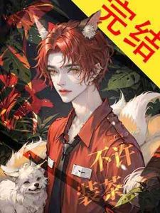 不许装茶